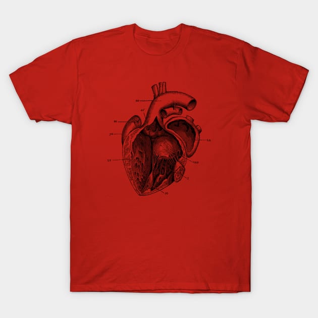 Internal Human Heart Diagram - Anatomy Poster T-Shirt by Vintage Anatomy Prints